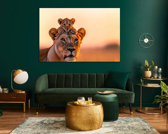 Aperçu de la chambre