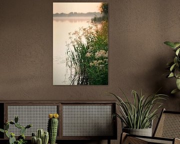 Dawn on the shore by Poster Art Shop