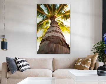 Palm tree in the sunshine by Poster Art Shop