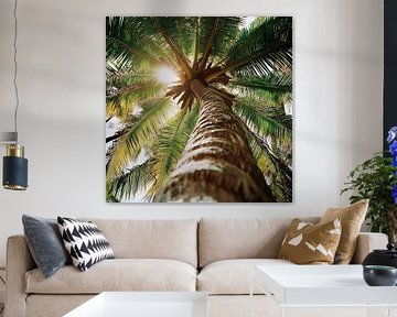 Palm tree in the sunlight by Poster Art Shop