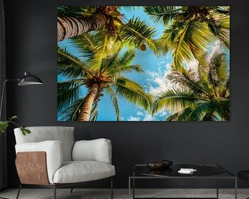 Palm view sky by Poster Art Shop