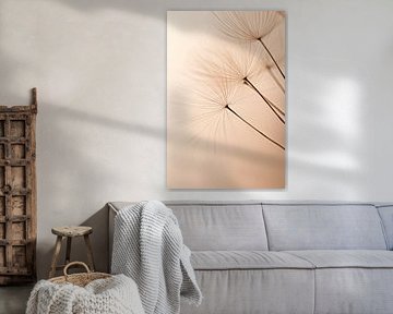 Plantenstengel schaduw