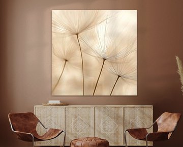 Plantenstengels in het licht van Poster Art Shop