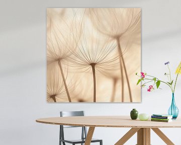 Paardenbloem licht van Poster Art Shop