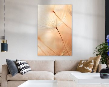 Paardenbloem droom van Poster Art Shop