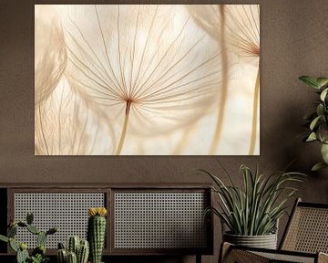 Paardenbloemen in het licht van Poster Art Shop