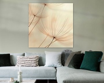 Alluvial hairs in the light by Poster Art Shop