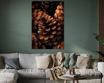 Dennenappel natuur van Poster Art Shop