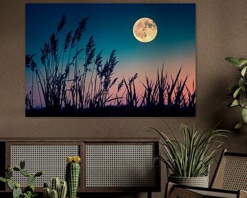 Pleine lune au-dessus des roseaux sur Poster Art Shop
