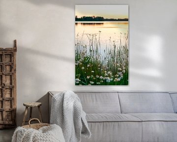Prairie au bord du lac sur Poster Art Shop