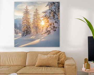 Winterzon Bossen van Poster Art Shop