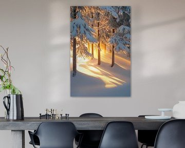 Winter boslicht van Poster Art Shop