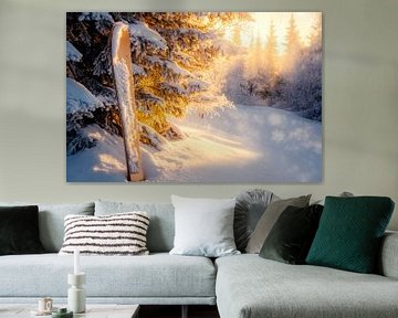 Winterbos lichtshows van Poster Art Shop