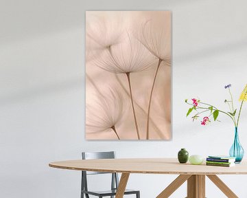 Delicate zaadkoppen van Poster Art Shop