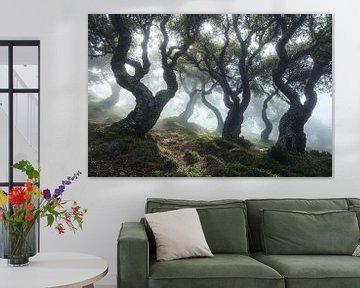 schilderachtig mystiek bos van Egon Zitter