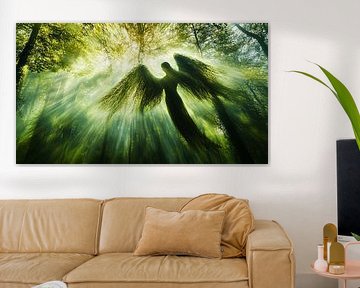 picturesque forest