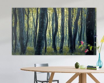 picturesque forest