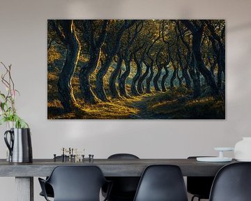 picturesque forest