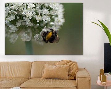 Hummel bei der Arbeit von Christian Gerst