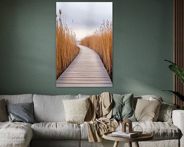 Reed path nature by Poster Art Shop