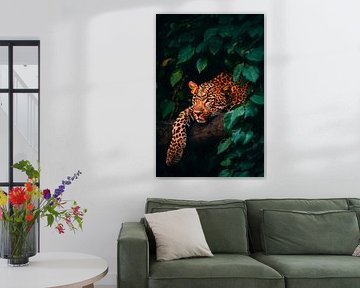 Jaguar im Schatten von Poster Art Shop