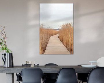 Loopbrug in het riet van Poster Art Shop