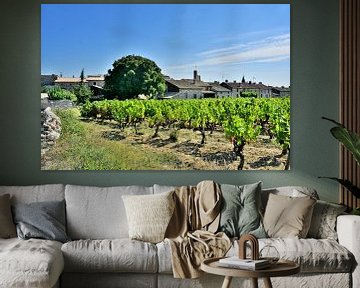 The Provençal charm of Aiguèze by Frank Photos