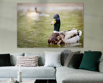 Duck the bill 2 by Lonneke Prins