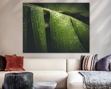 Bananenblad na de regen van Aurica Voss