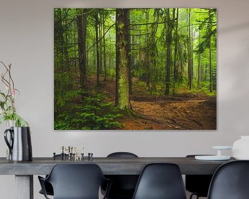 Atmosferisch bos