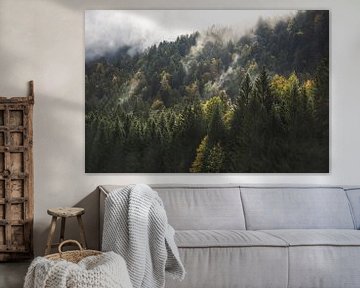 Sfeervol bos in de Alpen van Aurica Voss