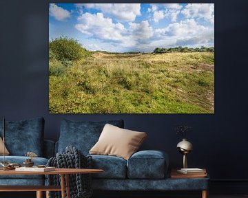 duinlandschap Duinen van Goeree van eric van der eijk