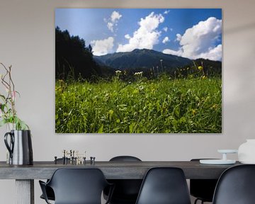 Alpine meadow in summer by Aurica Voss
