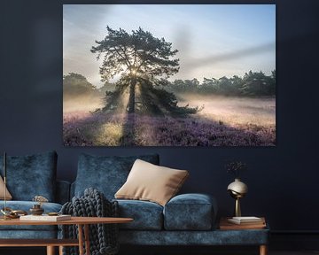 Grove den op de heide tijdens de zonsopkomst