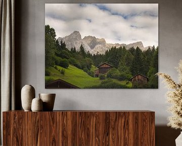 Alpenpanorama in de zomer