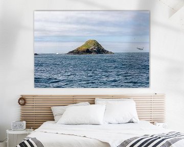 Island with flying puffin van SchumacherFotografie