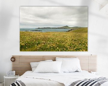 St Davids Head van SchumacherFotografie