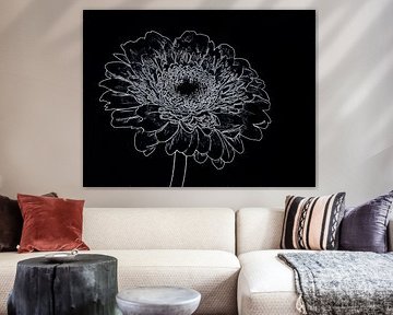 Gerbera by Jose Lok