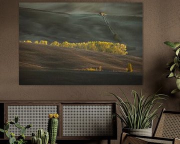 Eerste lichtpuntjes in Val d'Orcia, Toscane van mauro maione
