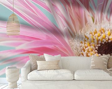 Close-up of a piece of pink - white Gerbera by Marjolijn van den Berg