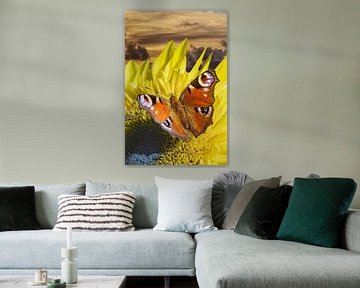 Butterfly on a sunflower