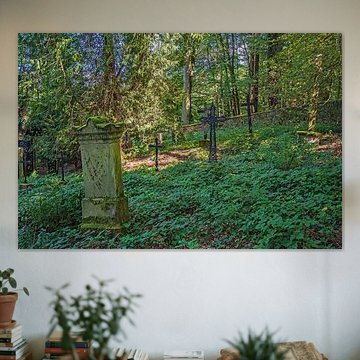 Tief verborgen im Wald