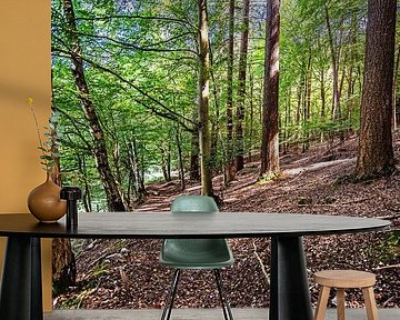 Boswandeling in de Spessart