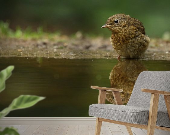 Voorbeeld van het werk in een kamer