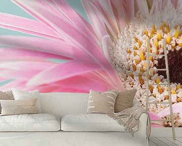 Close-up of a piece of pink - white Gerbera (vertical) by Marjolijn van den Berg