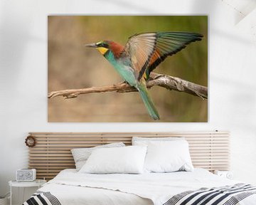 Bee-eater by Tanja van Beuningen