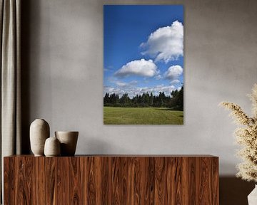 A field in spring by Claude Laprise