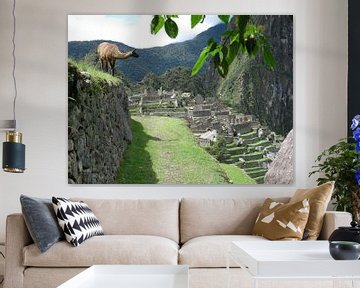 Lama in Machu Picchu (Peru) van Bart Muller