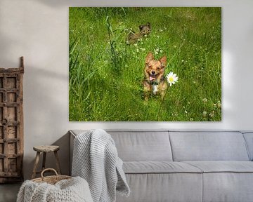 Fräulein Ella und ihr Gigidi von Diana van't Goor