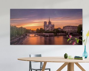 Notre Dame in Parijs bij zonsondergang van Toon van den Einde
